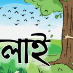 বলাই – রবীন্দ্রনাথ ঠাকুর